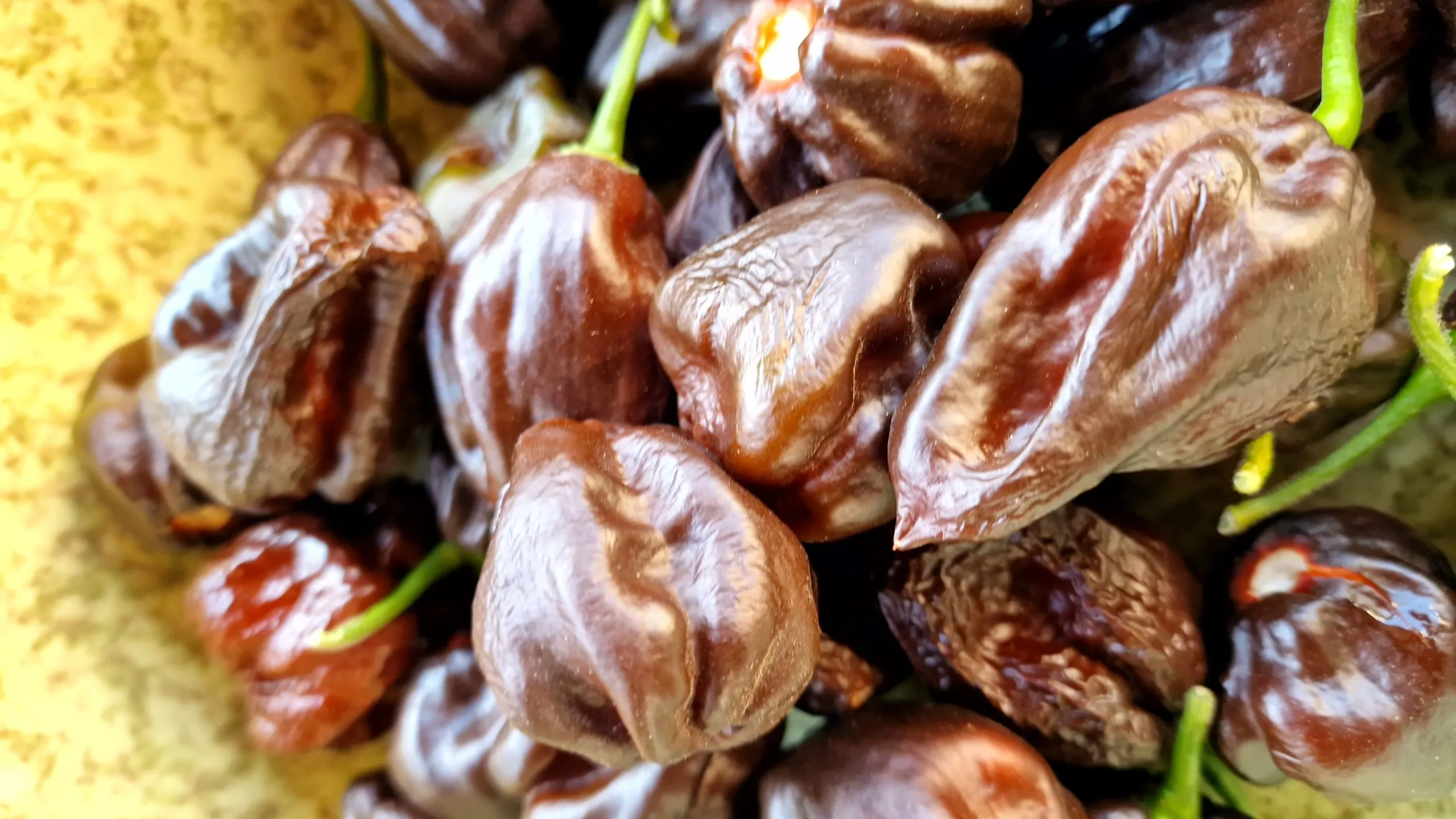 Swiss Chocolate Habanero Chilli Seeds