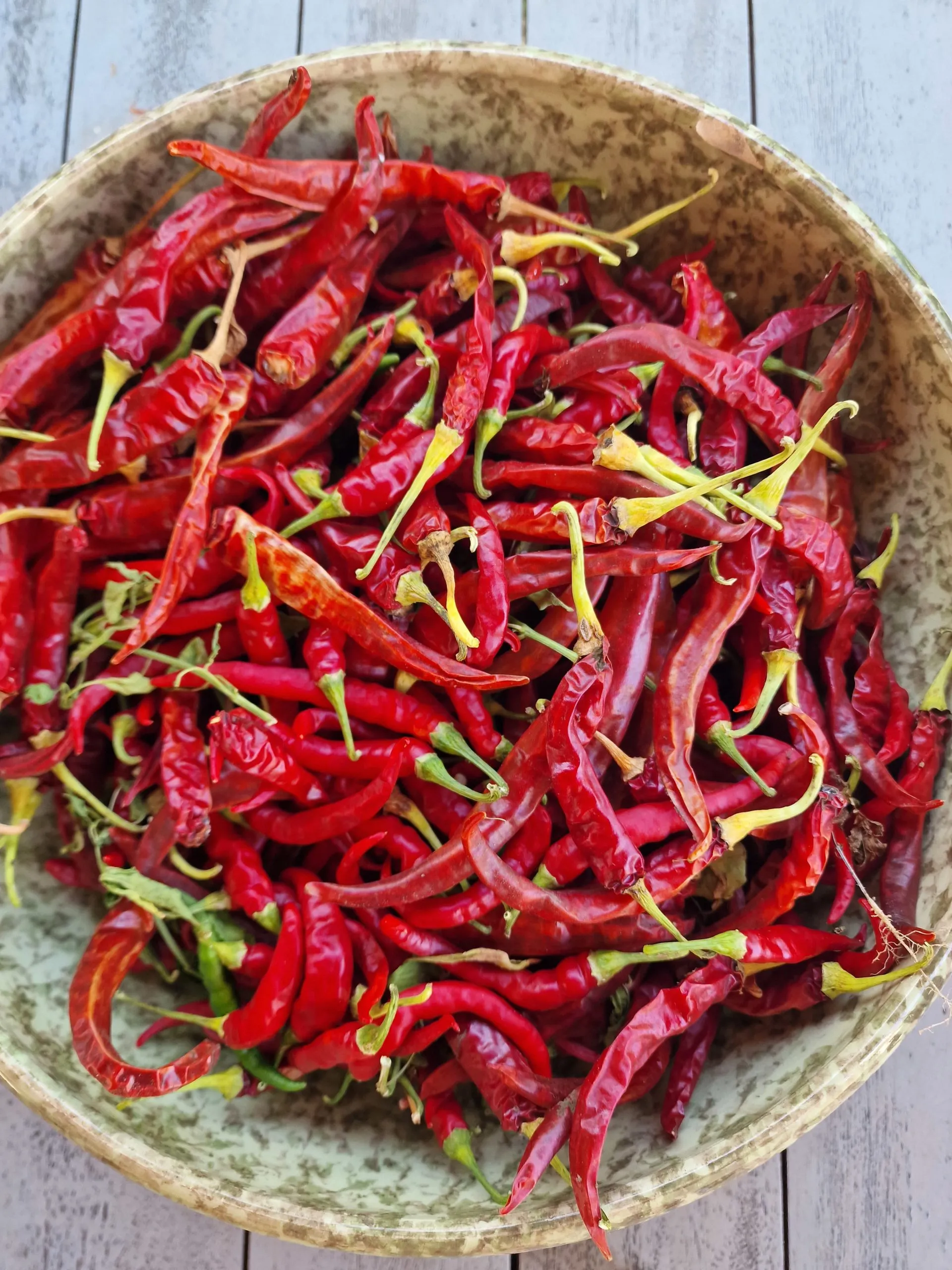 Ring Of Fire Chilli Seeds - Image 2