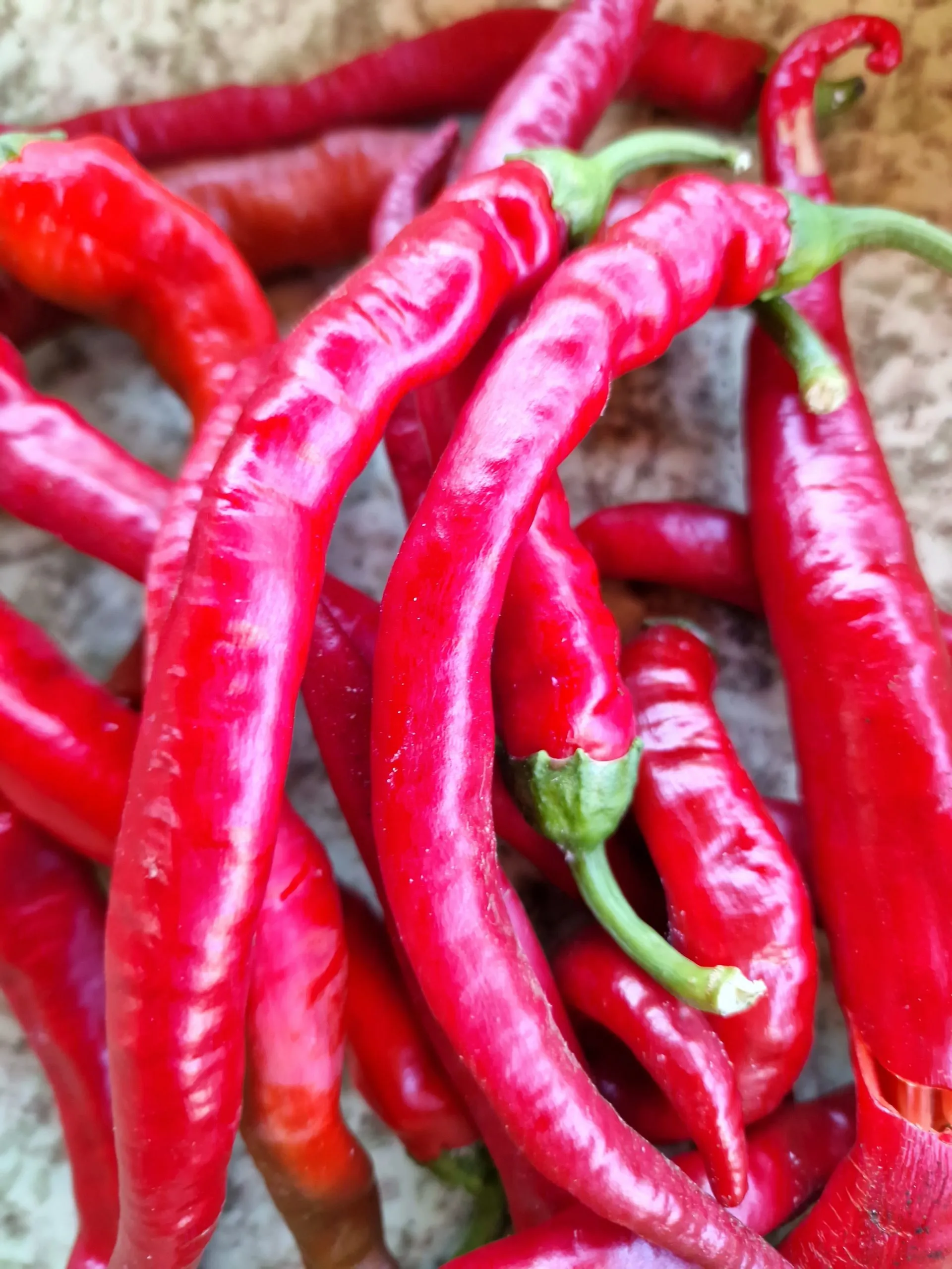 Aci Sivri Chilli Seeds - Image 2