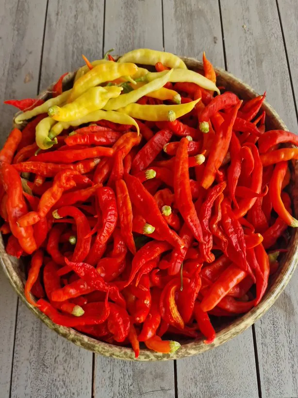 Aji Triple Pack Seeds - Image 7