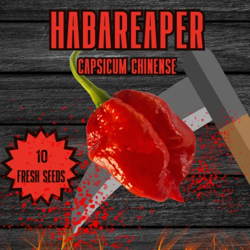 HabaReaper Chilli Seeds