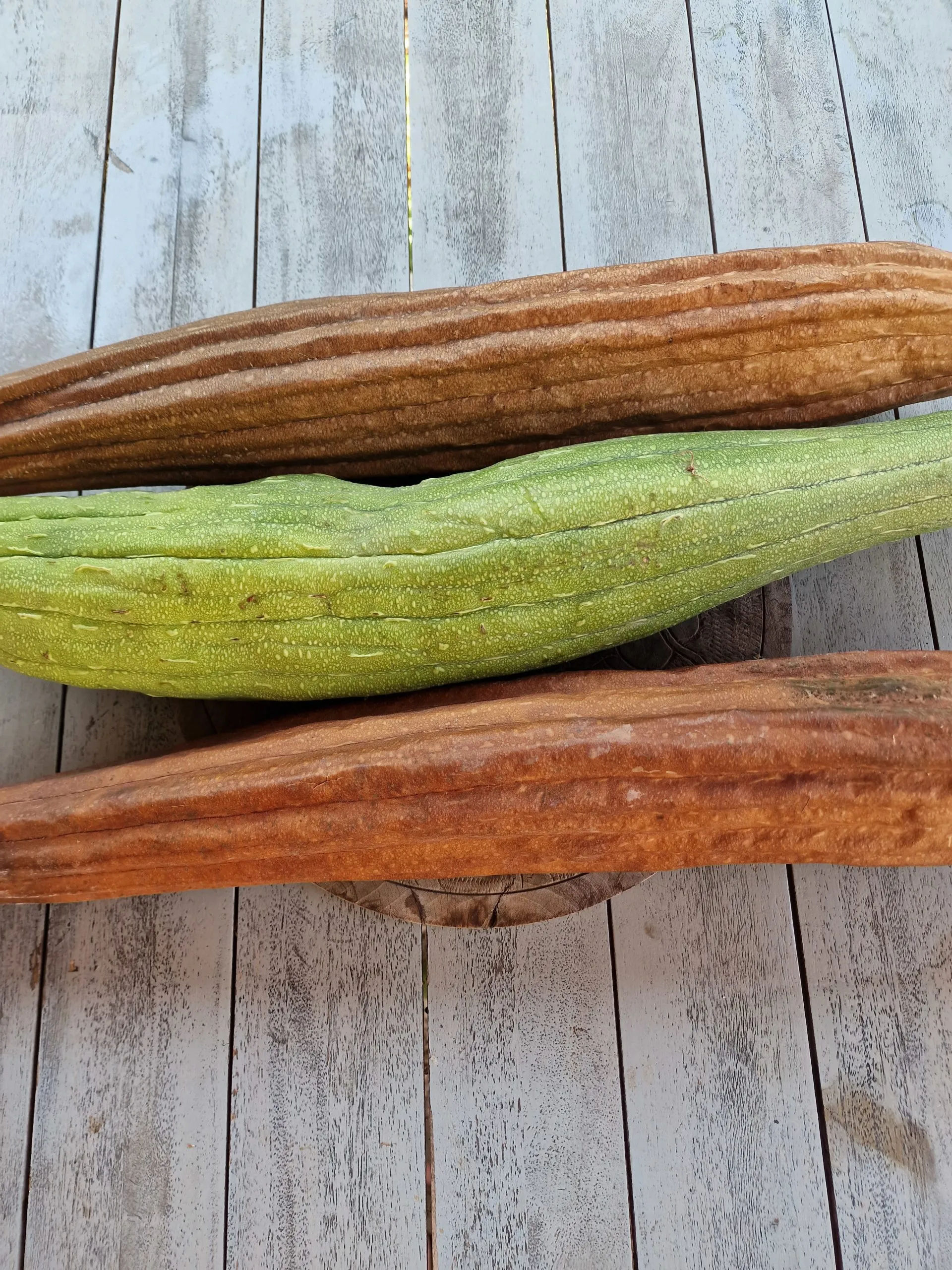 Luffa Gourd Seeds