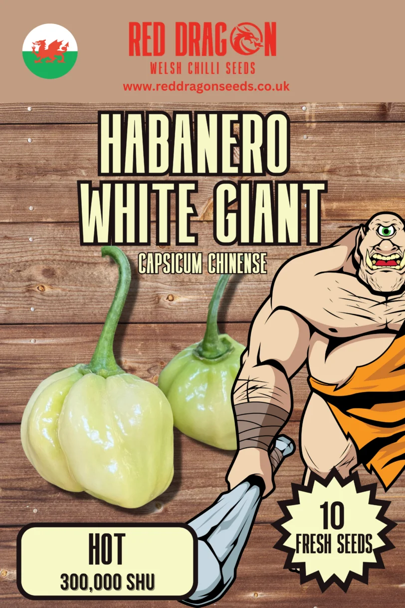 Habanero Triple Pack - Image 2
