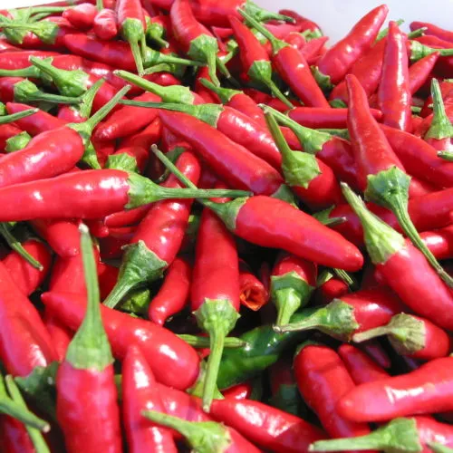 Malagueta Chilli Seeds