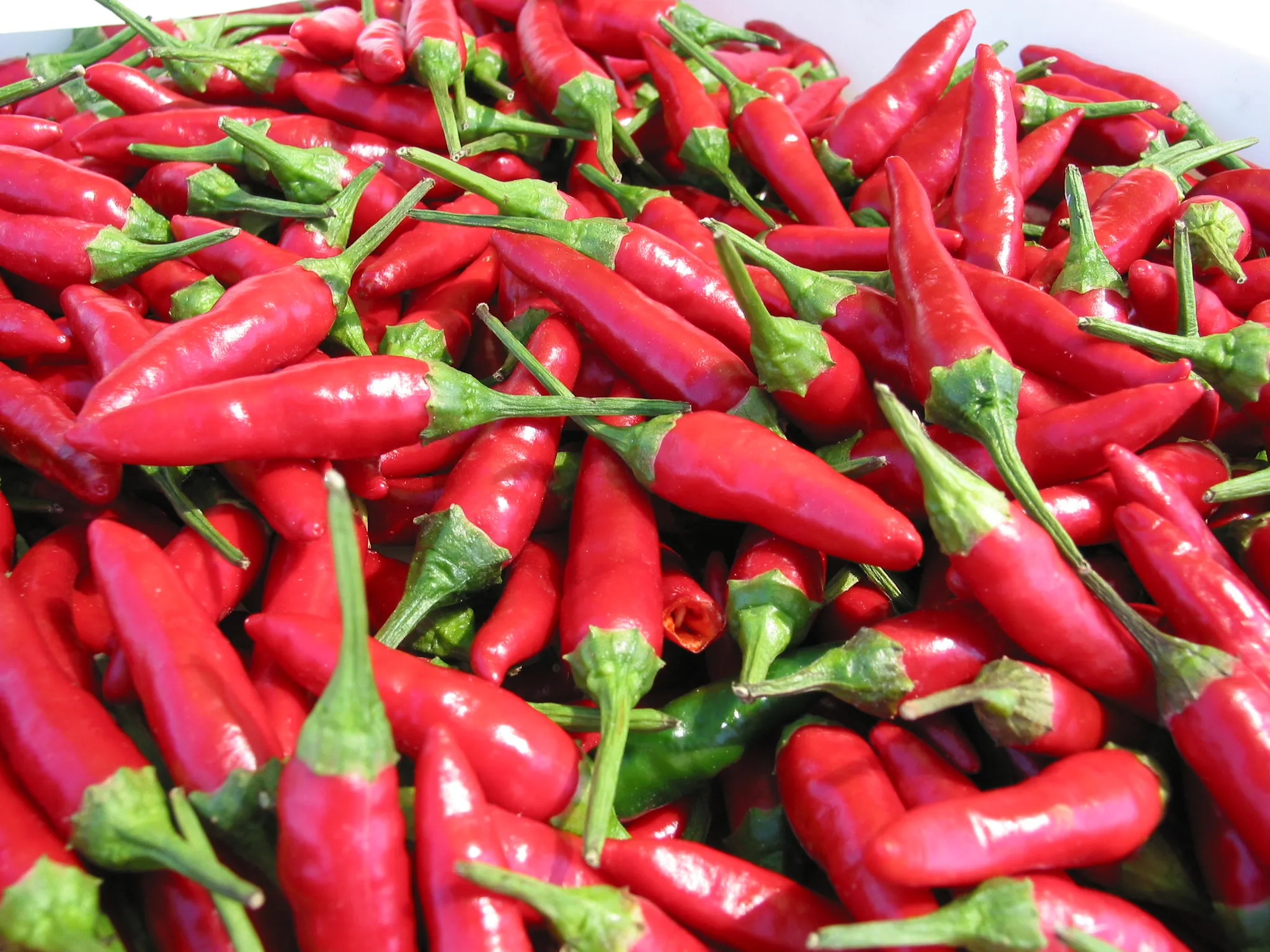 Malagueta Chilli Seeds