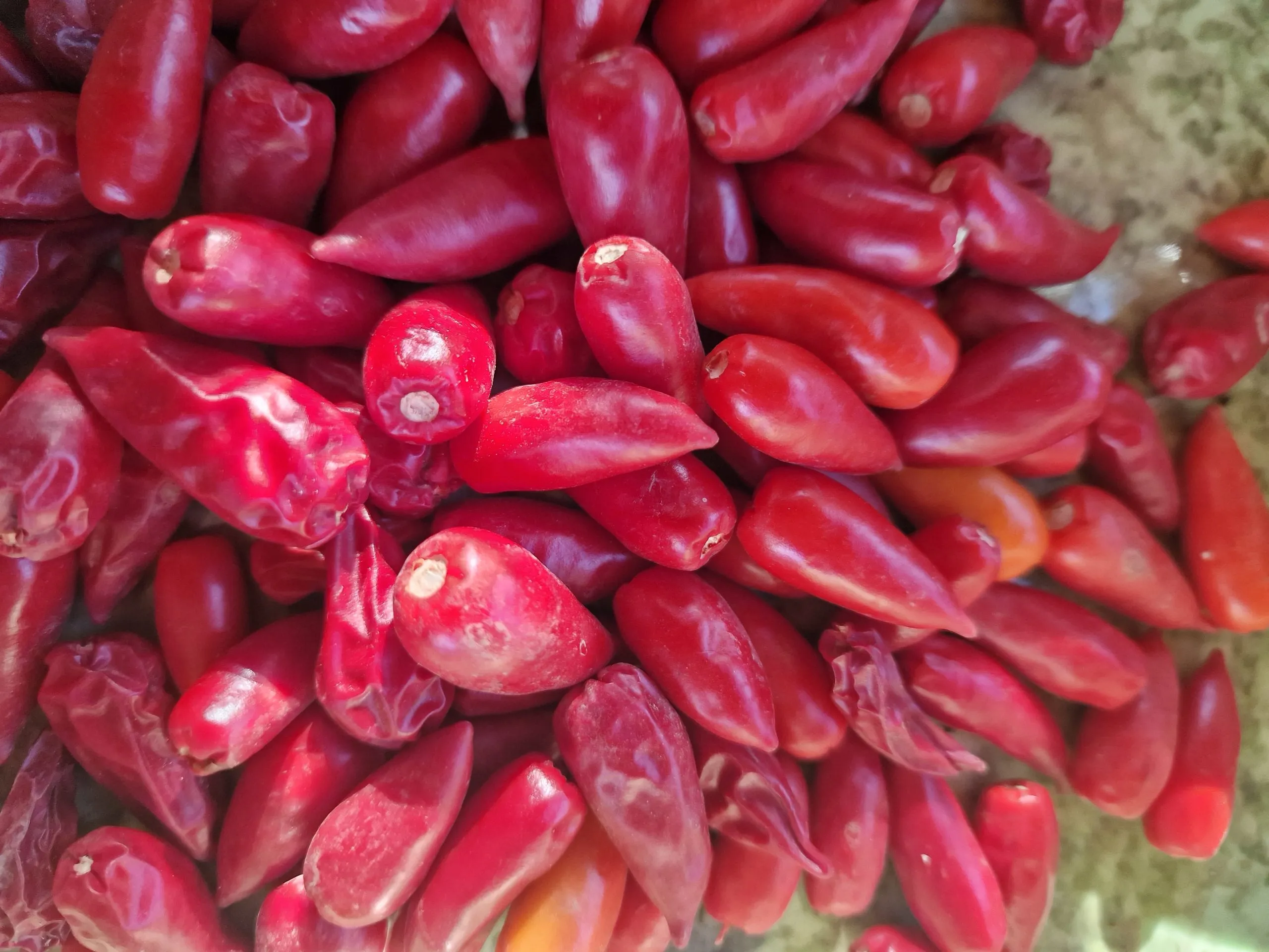 Serrano Monte D'oro - Image 4