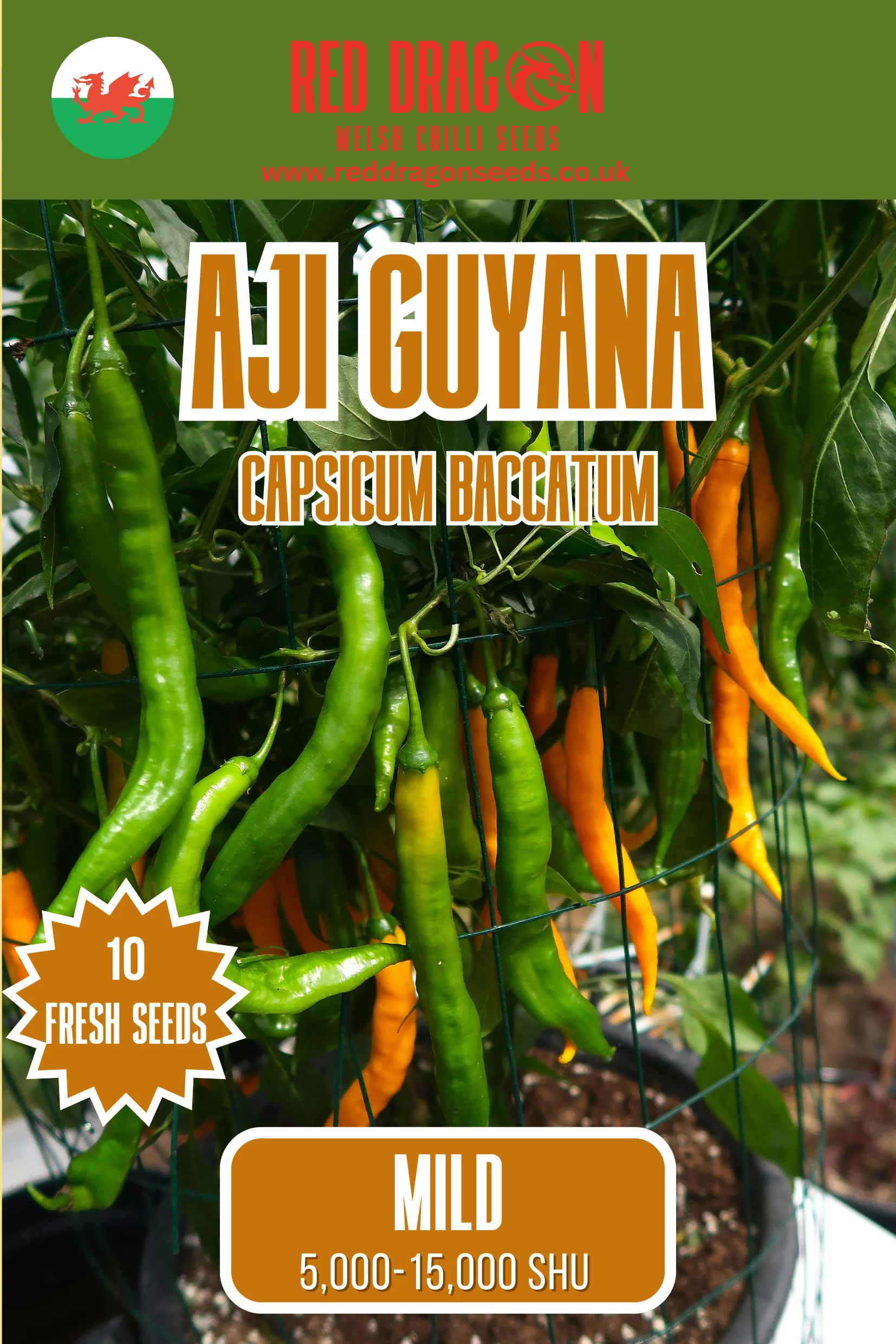 Aji Guyana Chilli Seeds