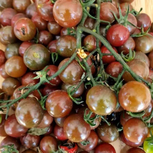 Black Opal Tomato Seeds