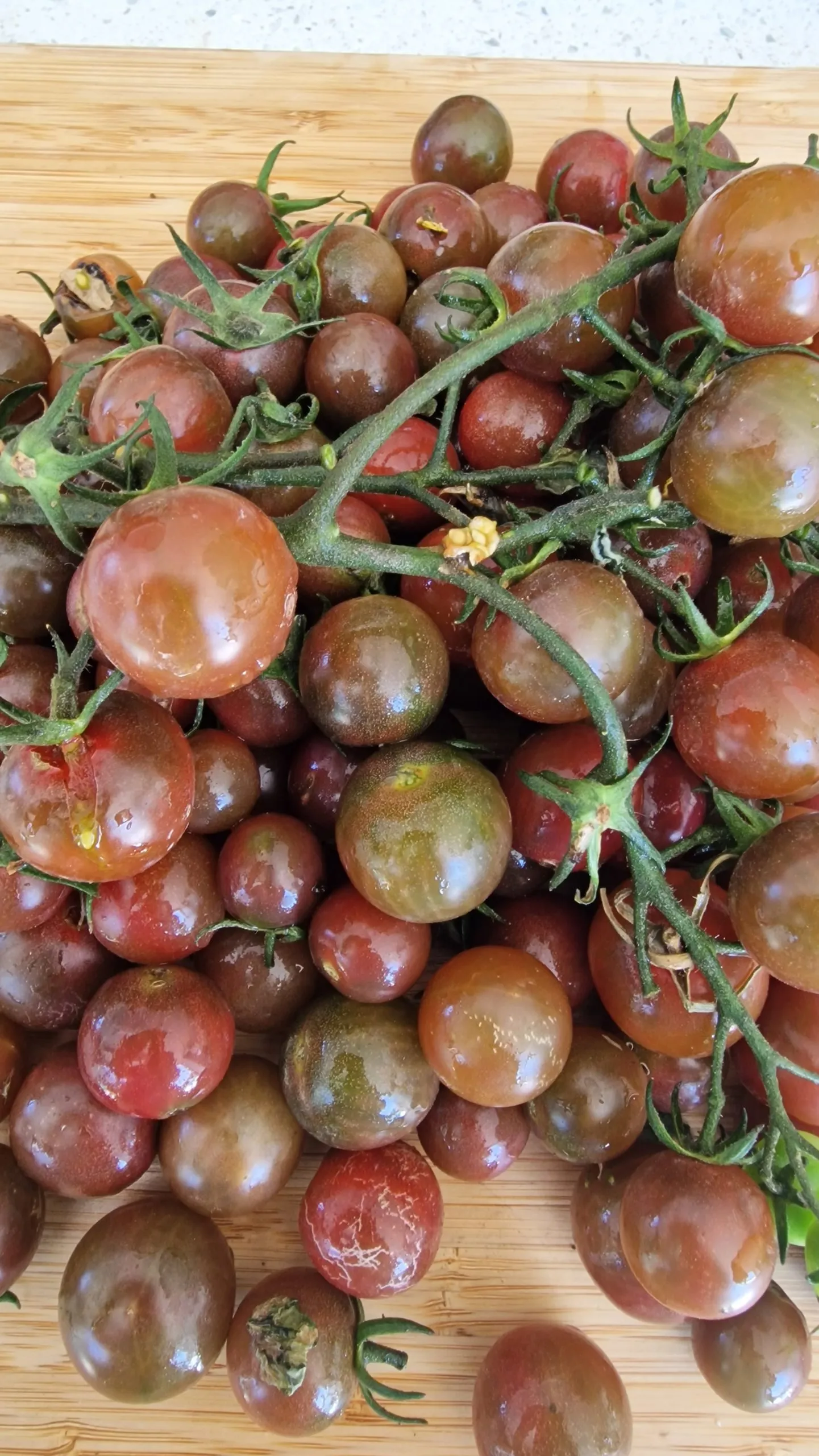 Black Opal Tomato Seeds - Image 2