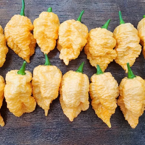 Brain Collapse Peach Chilli Seeds