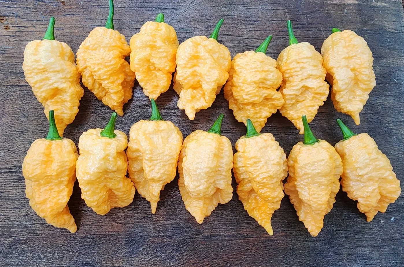Brain Collapse Peach Chilli Seeds