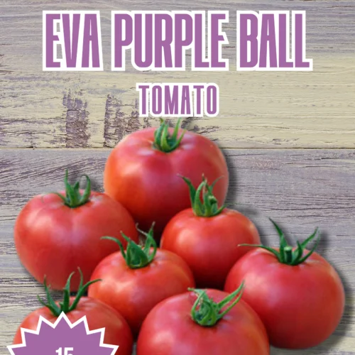 Eva Purple Ball Tomato Seeds