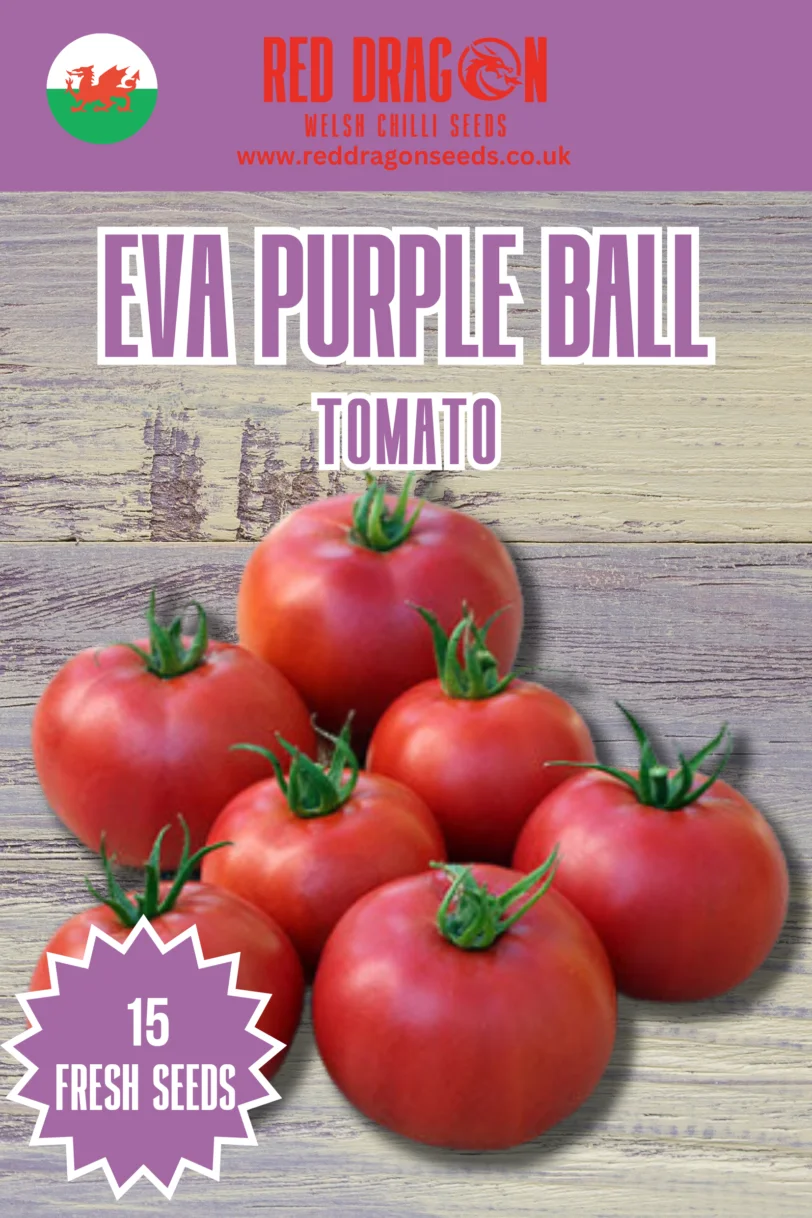 Eva Purple Ball Tomato Seeds