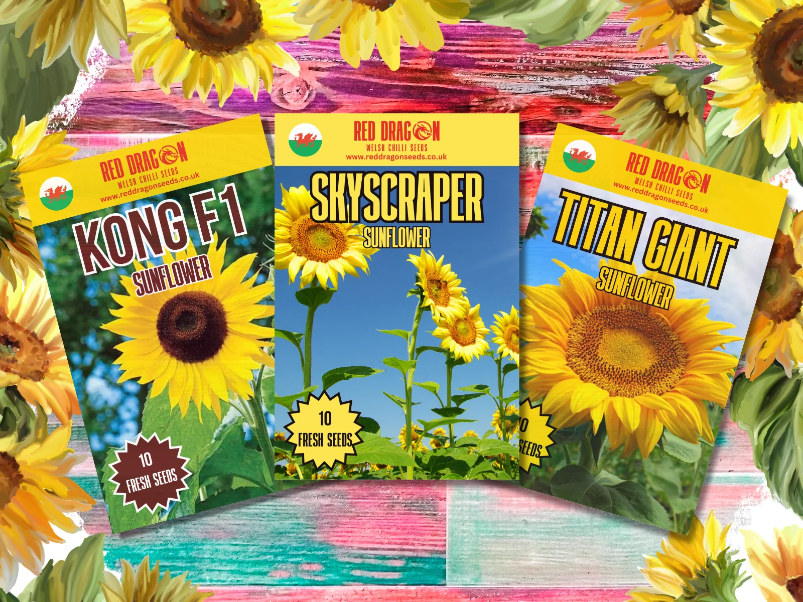 Giant Sunflowers of the World - Triple pack