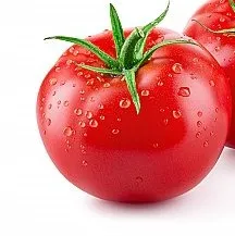 Money Maker Tomato Seeds - Image 2