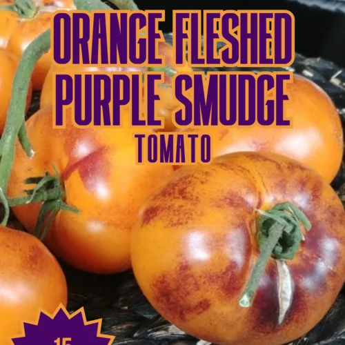 Orange Fleshed Purple Smudge Tomato Seeds