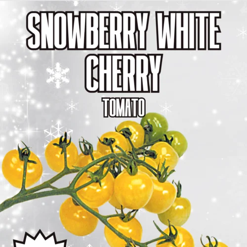 Snowberry White Cherry Tomato Seeds