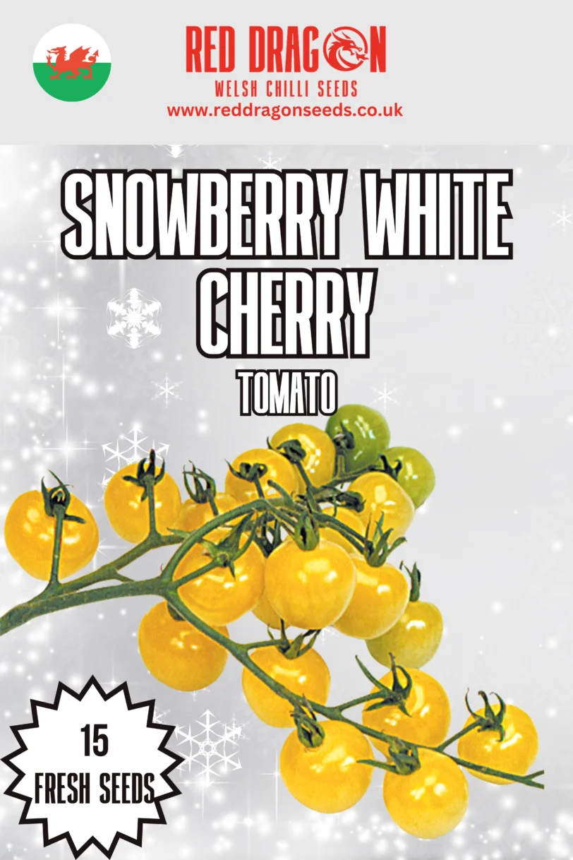 Snowberry White Cherry Tomato Seeds