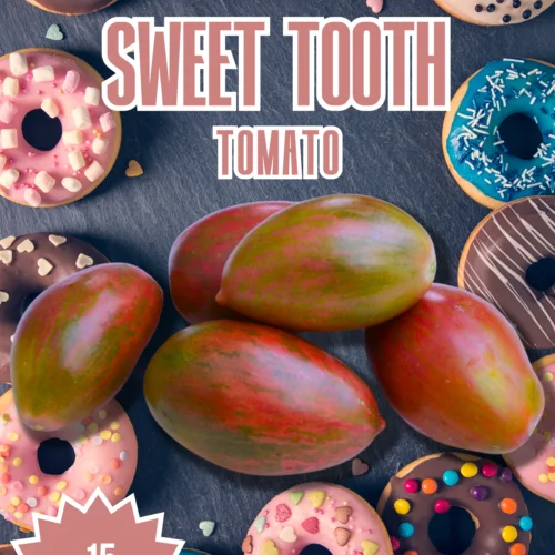 Sweet Tooth Tomato Seeds