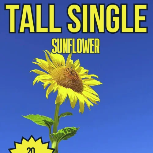 Tall Single Sunflower Seeds