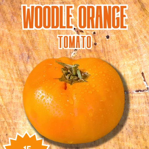 Woodle Orange Tomato Seeds