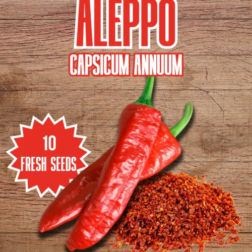 Aleppo Chilli Seeds