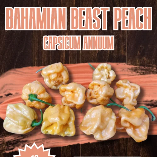 Bahamian Beast Peach Chilli Seeds