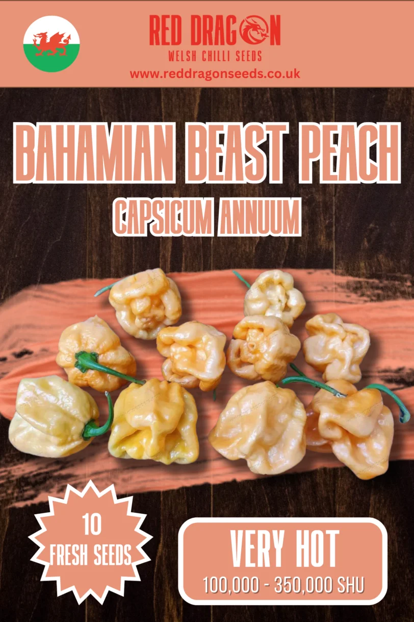Bahamian Beast Peach Chilli Seeds
