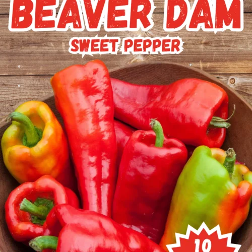 Beaver Dam Sweet Pepper Seeds