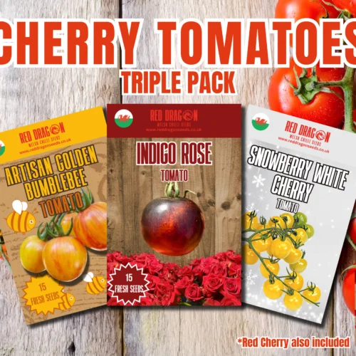 Cherry Tomatoes Triple pack