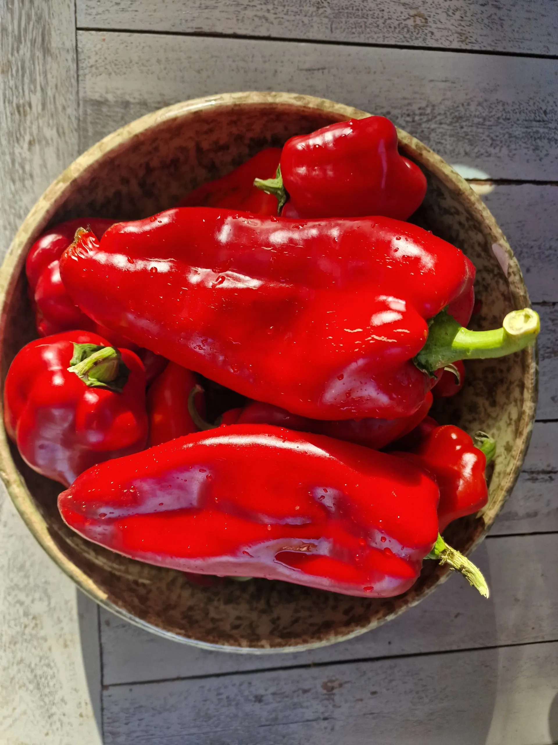 Ljubo Palm Sweet Pepper Seeds - Image 3