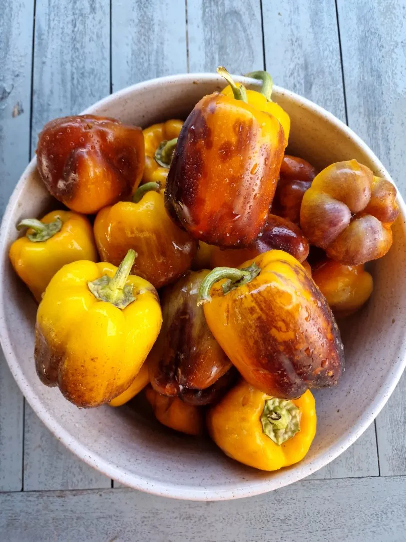 Purple Smudge Gold Sweet Pepper Seeds