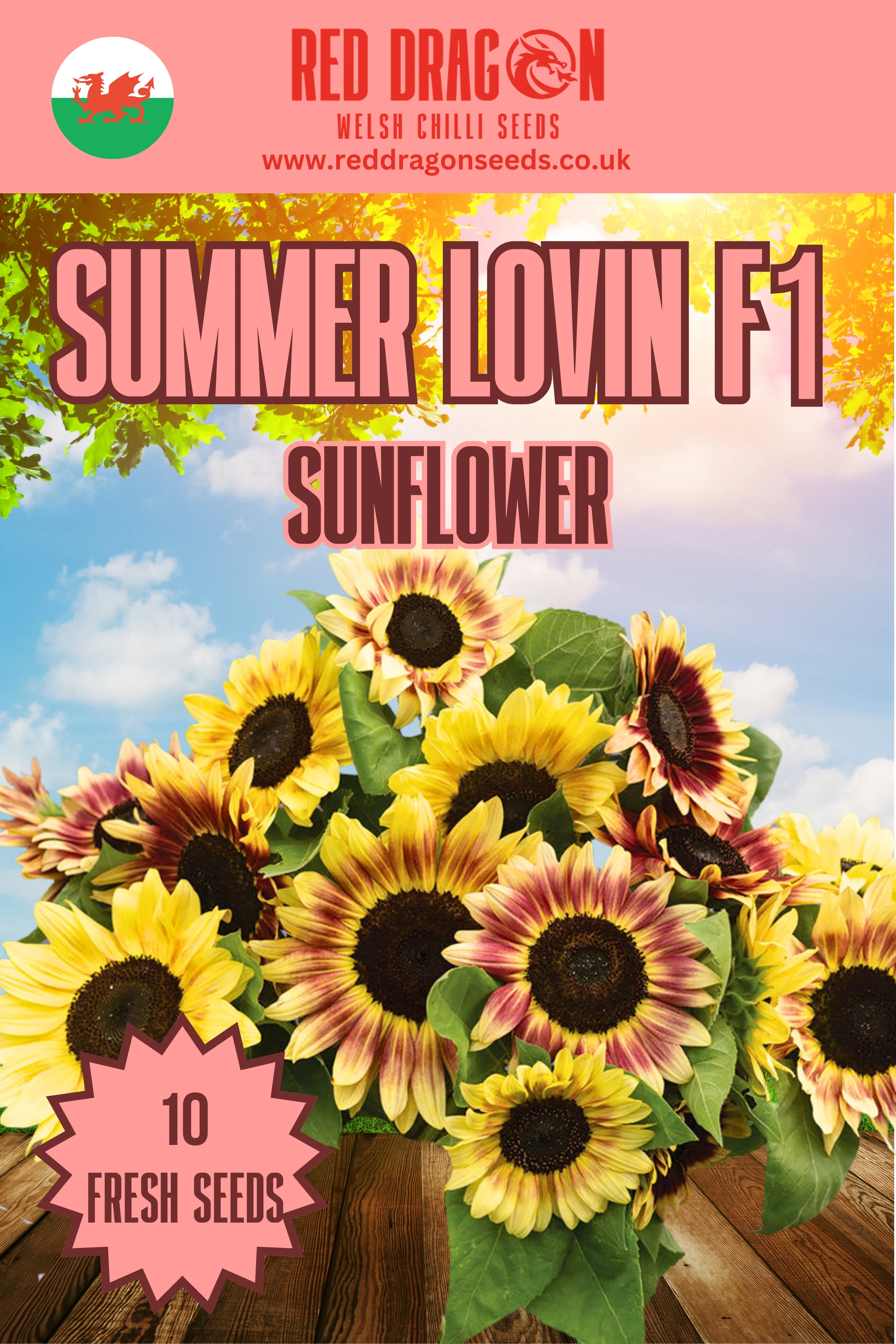 Summer Lovin' F1 Sunflower Seeds
