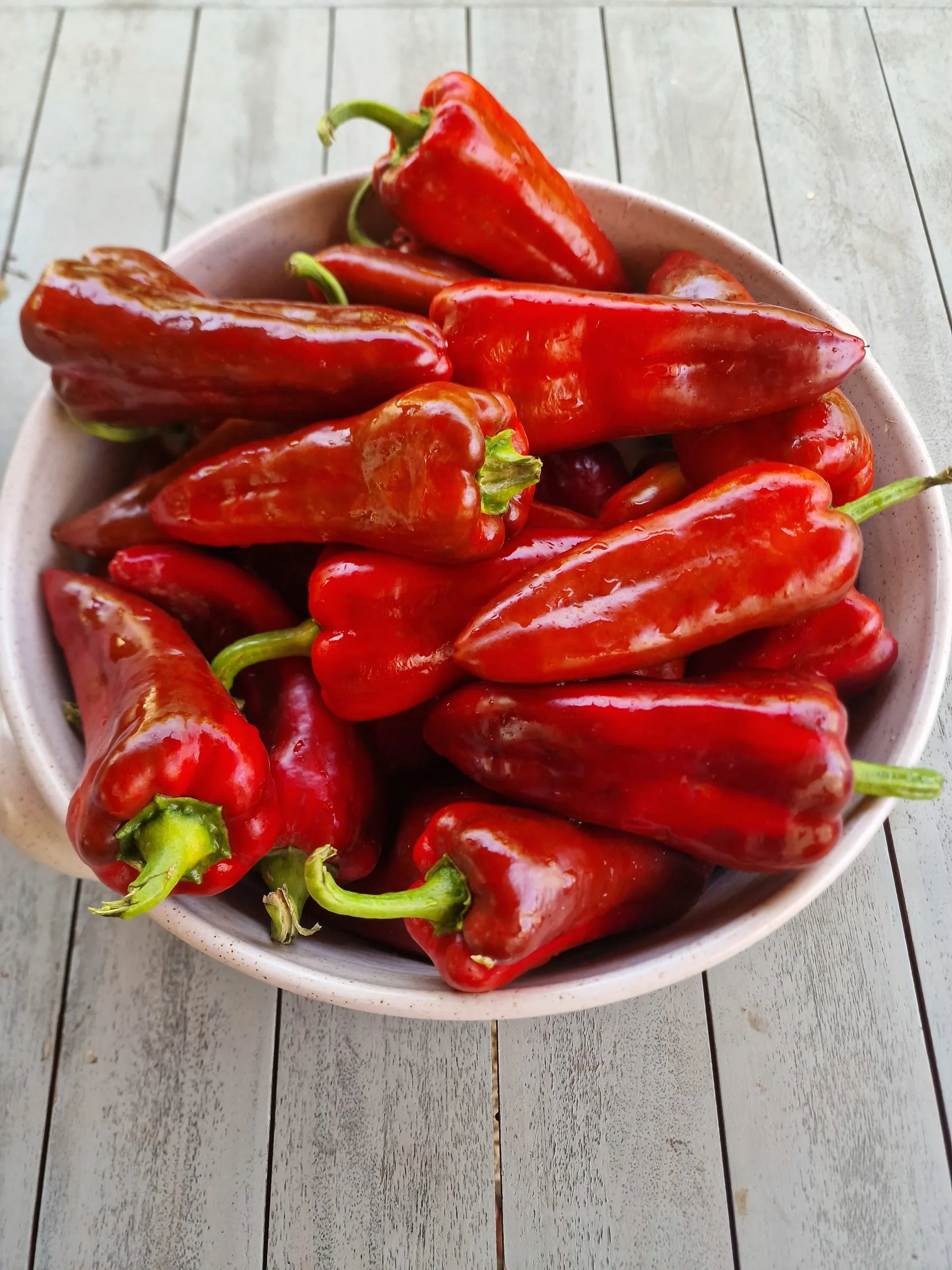 Dulce De Espana Sweet Pepper Seeds - Image 2