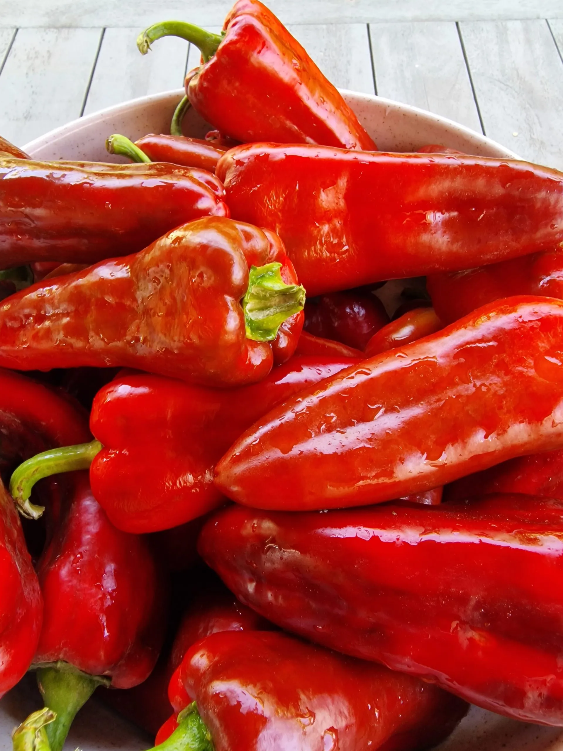 Dulce De Espana Sweet Pepper Seeds - Image 5