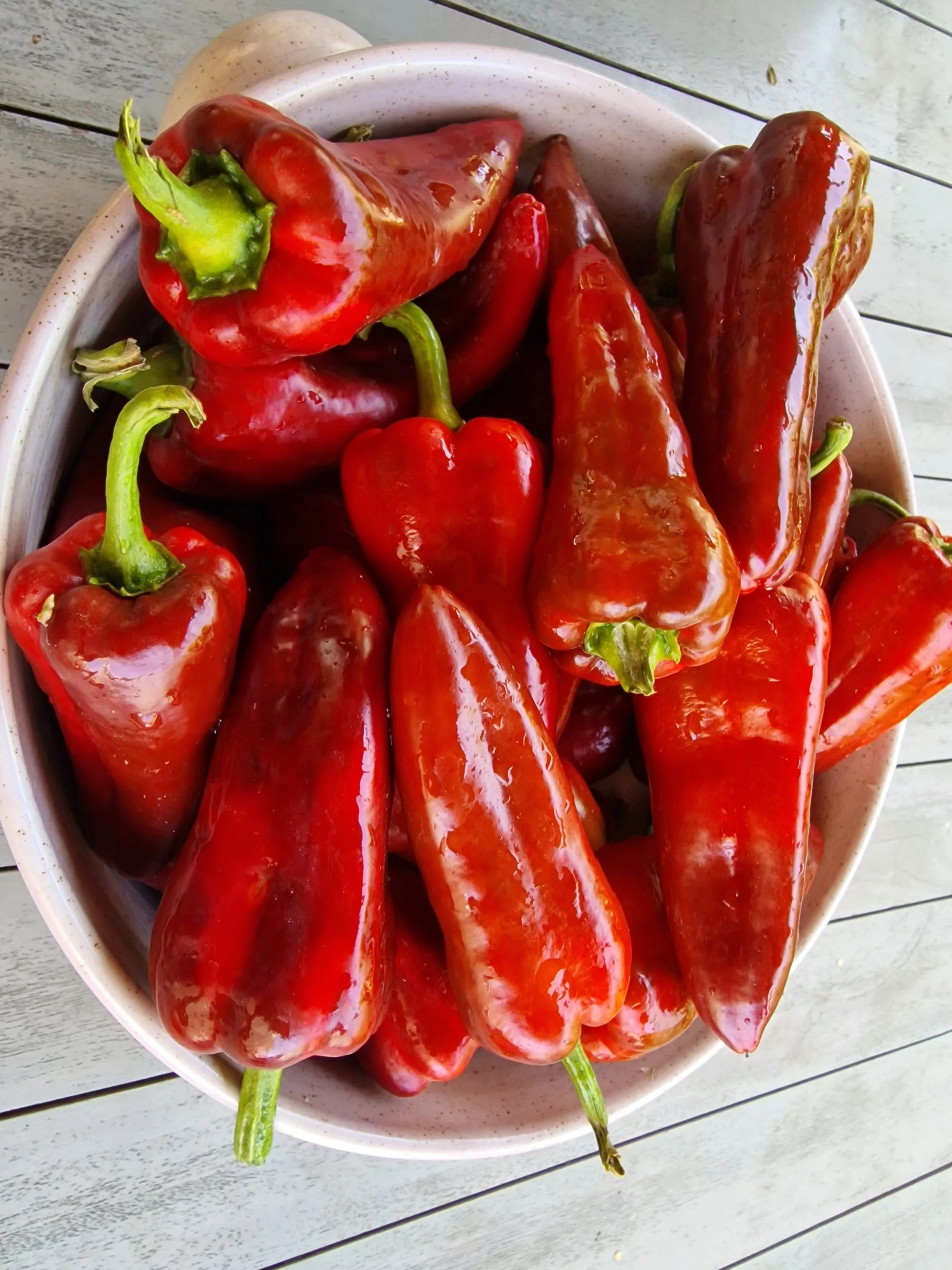 Dulce De Espana Sweet Pepper Seeds - Image 4