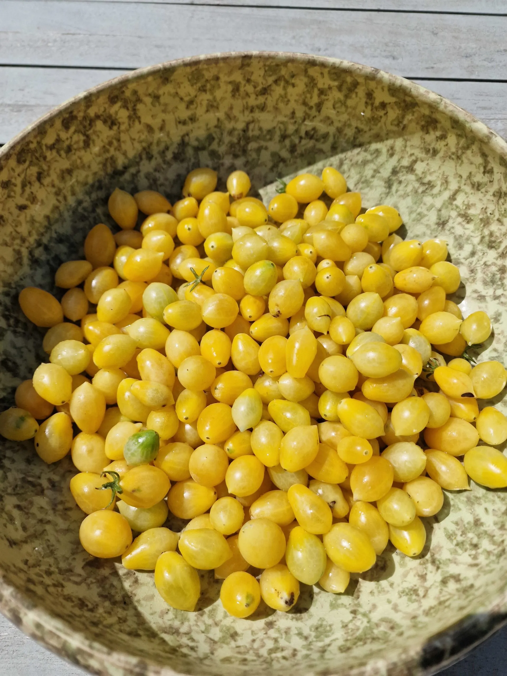 Barry's Crazy Cherry Tomato Seeds - Image 5