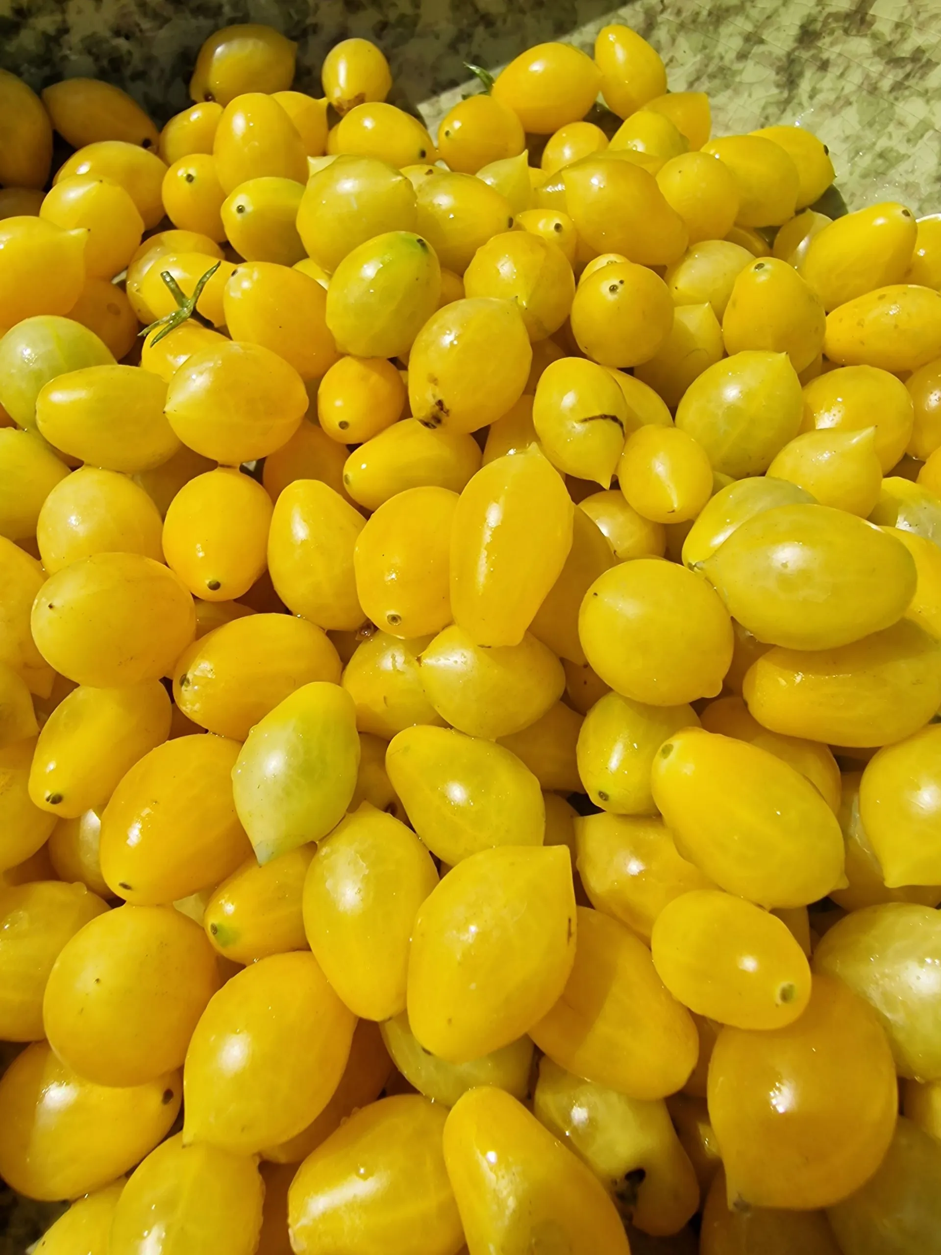 Barrys Crazy Cherry Tomato Seeds