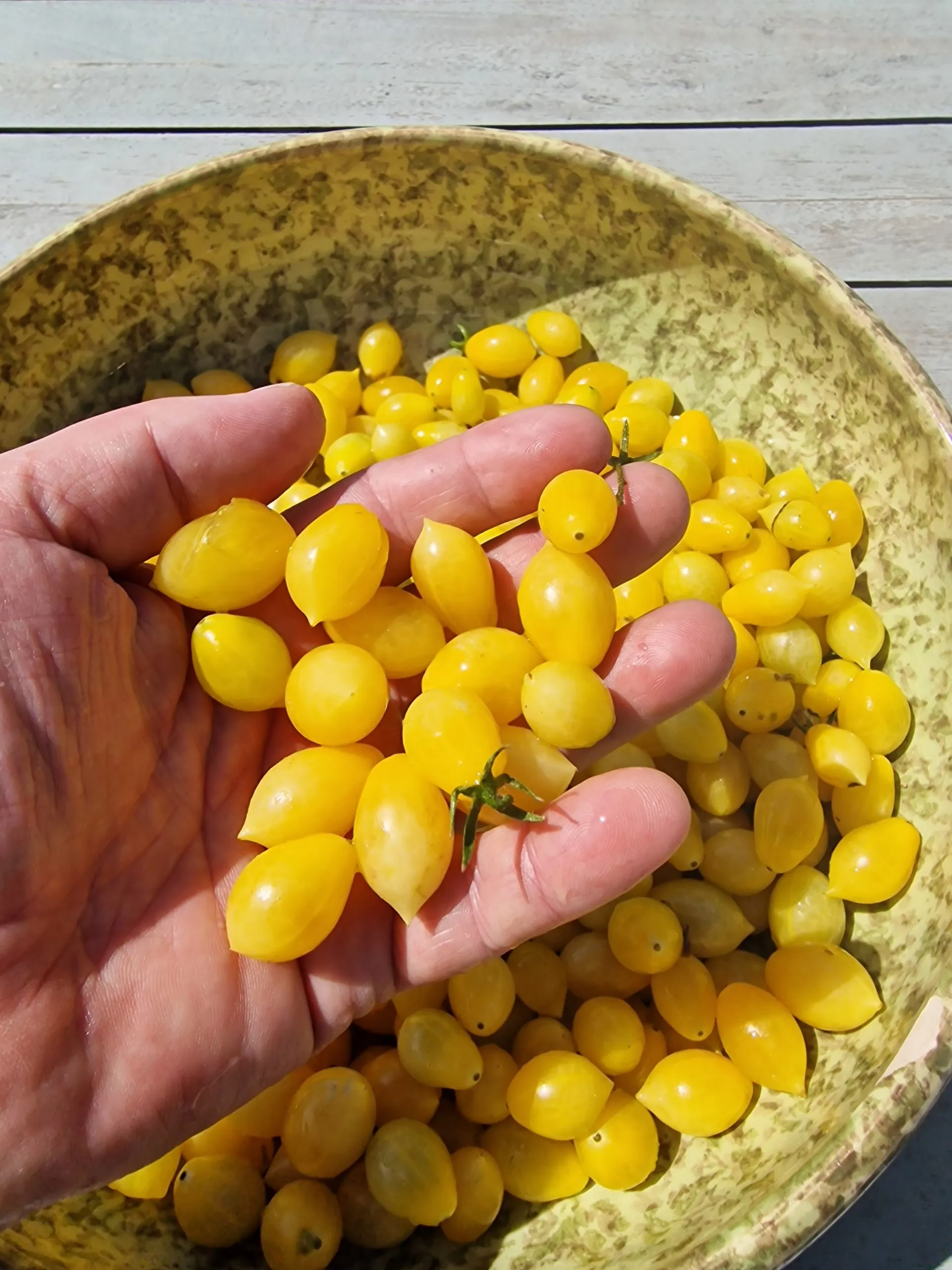 Barry's Crazy Cherry Tomato Seeds - Image 4