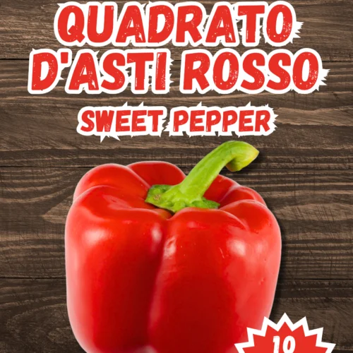 Quadrato D'asti Rosso Sweet Pepper Seeds