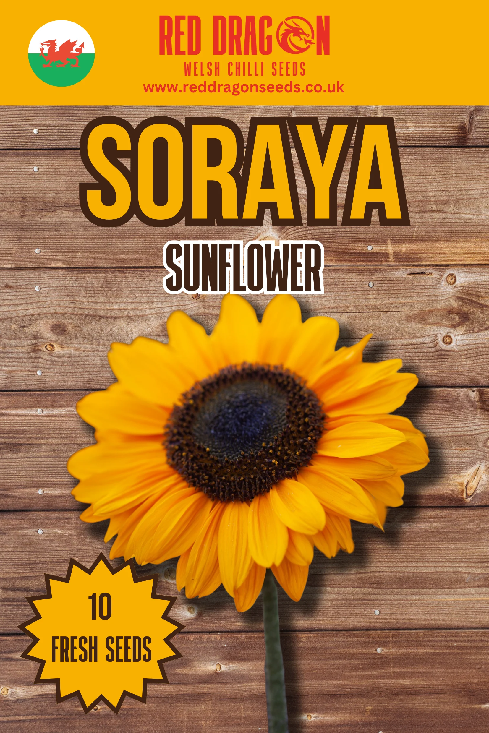 Soraya Sunflower Seeds