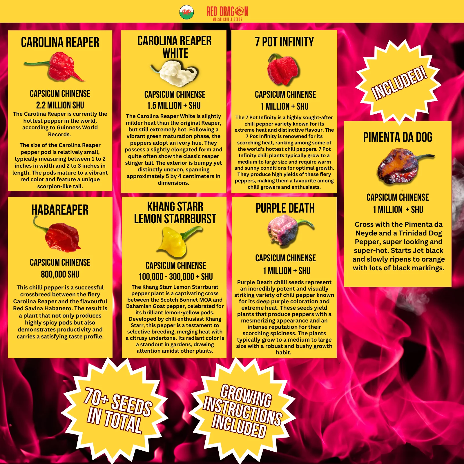 Super Hot Chilli Seed Variety Pack V2 - Image 3