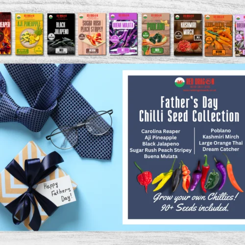 Father's Day Chilli Seed Gift Set - Father’s Day Gifts - Design 1