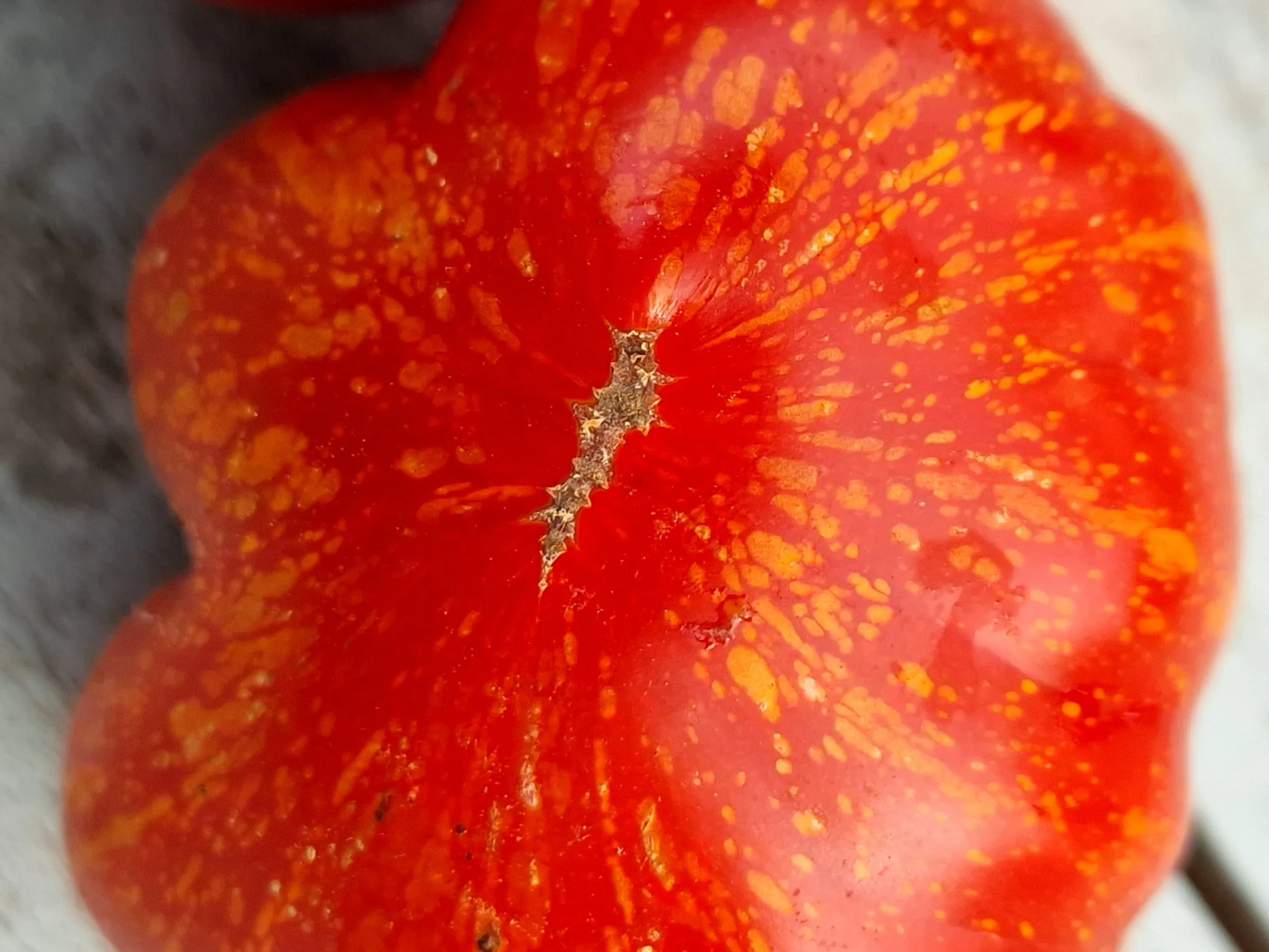 Scabitha Tomato Seeds - Image 2