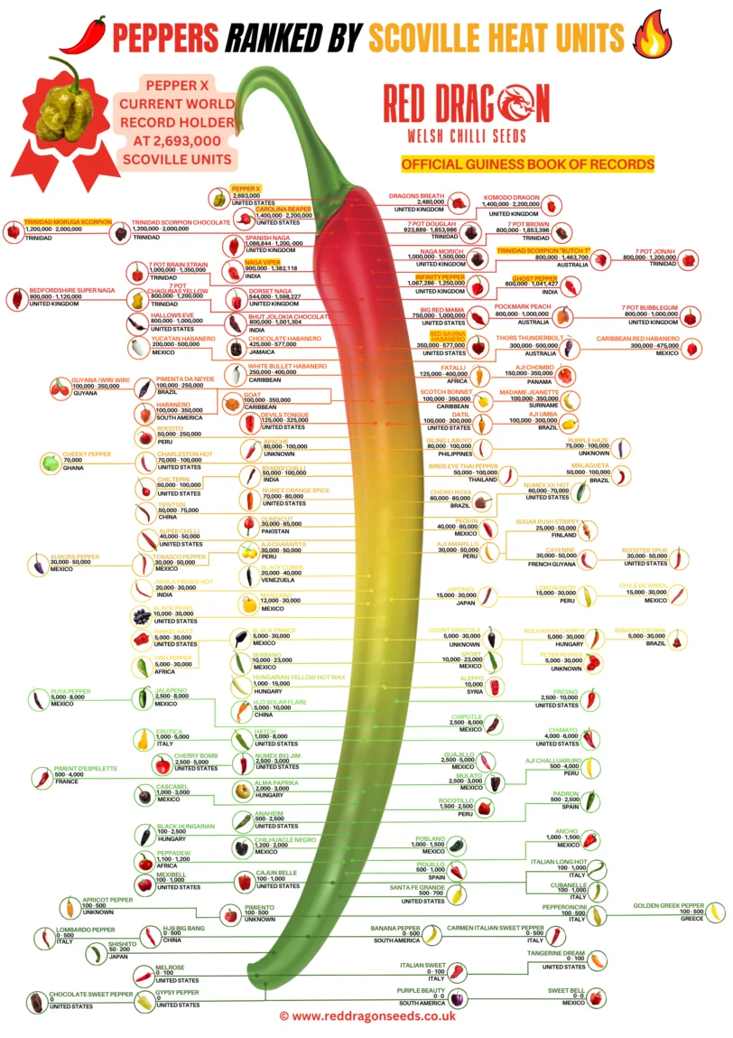 Scoville Chart Poster - A2 Laminated Scoville Chart with over 120 Chilli Types Listed - Image 2