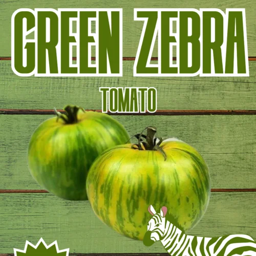 Green Zebra Tomato Seeds