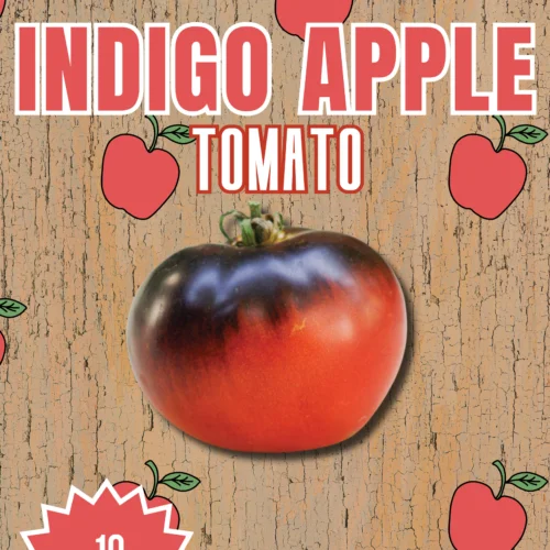 Indigo Apple Tomato Seeds