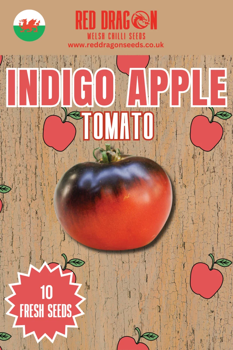 Indigo Apple Tomato Seeds