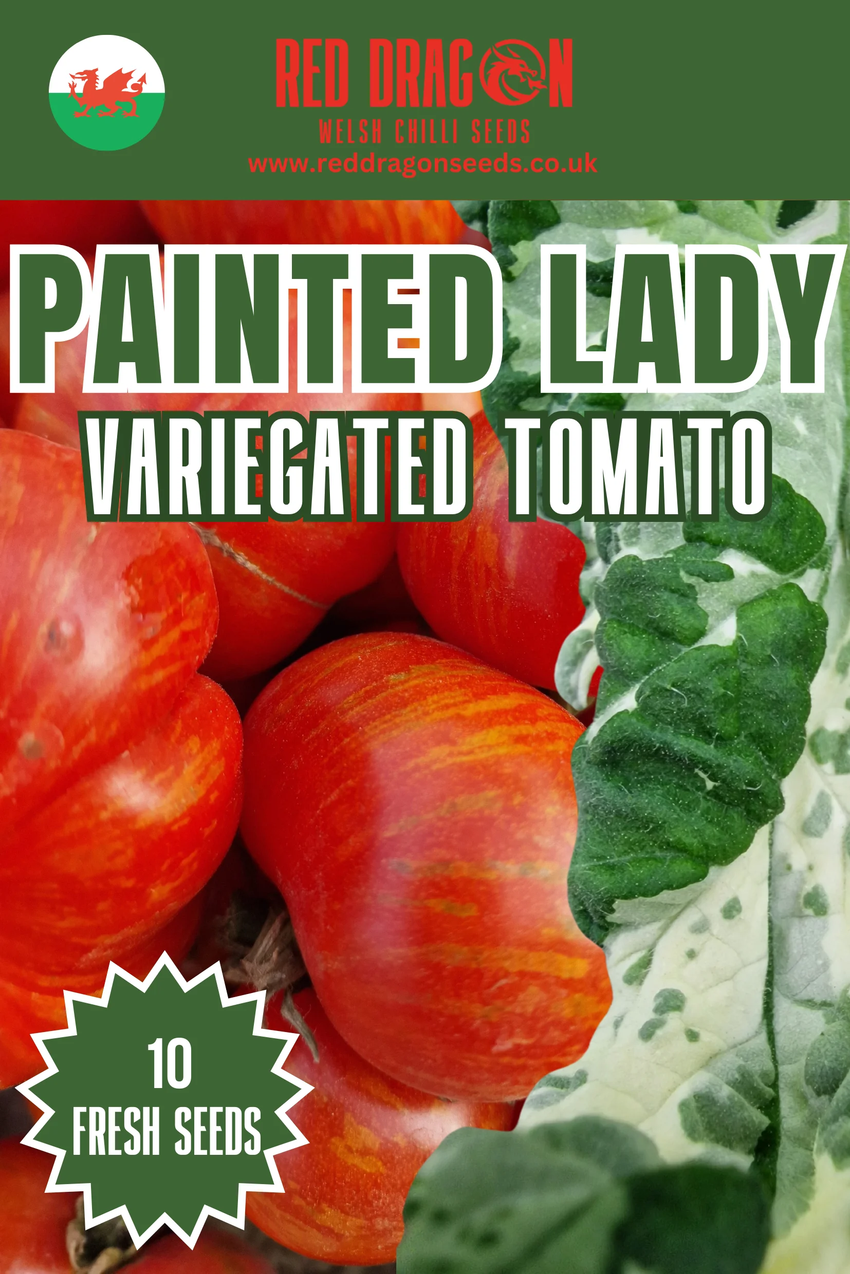 Painted Lady Variegated Tomato Seeds