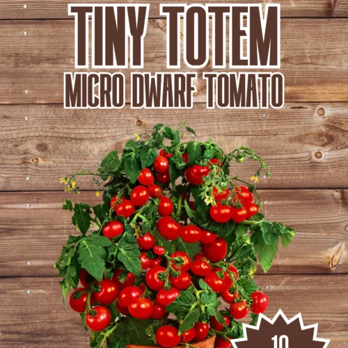 Tiny Totem Micro Dwarf Seeds